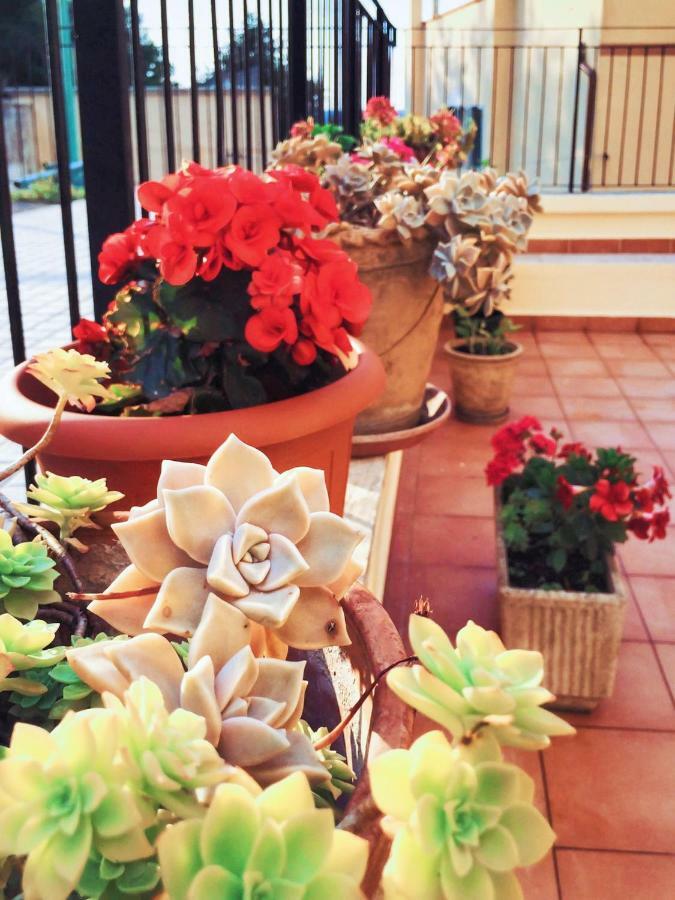 Rifugio A Mottola Apartment ภายนอก รูปภาพ